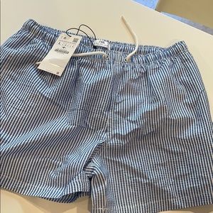 Zara striped shorts bathing suit